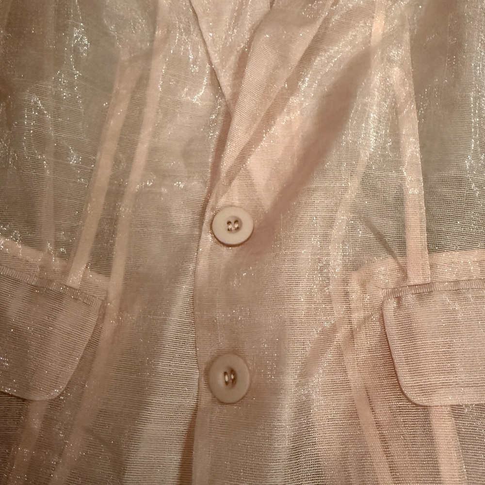 Anthropology Sheer Pink Blazer - Picture 7 of 8